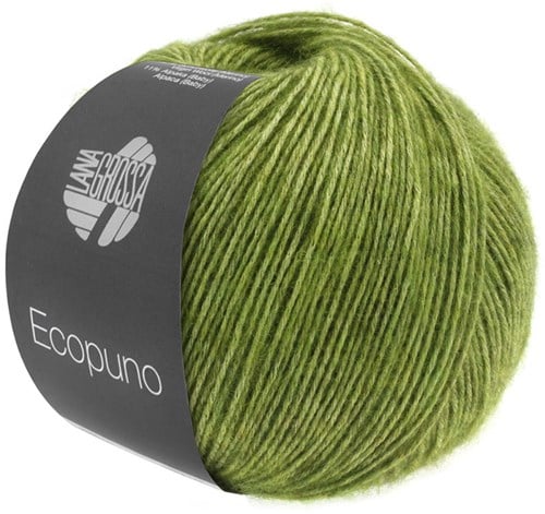 Lana Grossa Ecopuno 002 Apple Green