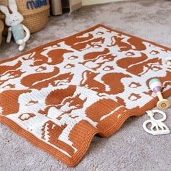 Going Nuts Baby Blanket Yarn and Crochet Kit