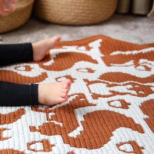 Going Nuts Baby Blanket Yarn and Crochet Kit-3
