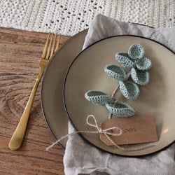 Yarn and Colors Everlasting Eucalyptus Crochet Kit