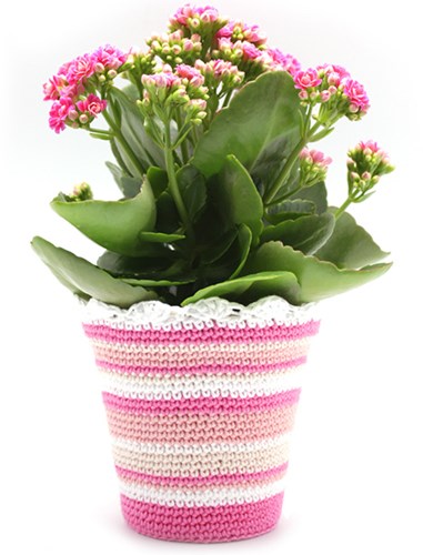Pattern crocheted flower pot