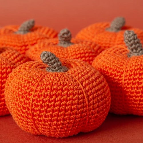 Yarn and Colors Autumn Pumpkin