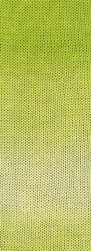Lana Grossa Gomitolo Tono 1032 Spring Green/Pistachio/Pastel Green-2