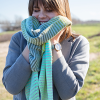 Stripes Scarf Degradé Knit kit 001 Green