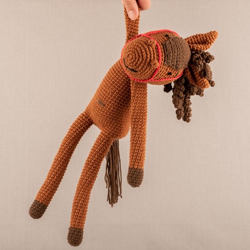 Crochet Pattern Yarn and Colors Hank Horse