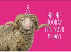 Yarnplaza Postcard - Hip Hip Hooray, it's your B-day