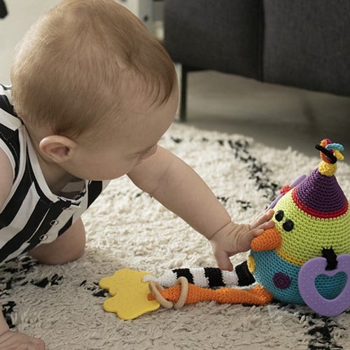 Crochet Pattern Funky Bird