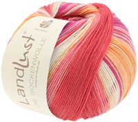 Lana Grossa Landlust Die Sockenwolle 111 Colored stripes