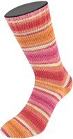 Lana Grossa Landlust Die Sockenwolle 111 Colored stripes-2