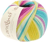 Lana Grossa Landlust Die Sockenwolle 113 Colored stripes