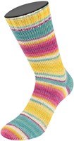 Lana Grossa Landlust Die Sockenwolle 113 Colored stripes-2