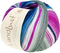 Lana Grossa Landlust Die Sockenwolle 118 Light gray/ecru/fuchsia/blue/jeans/night blue/light pink/lilac striped