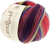 Lana Grossa Landlust Die Sockenwolle 127 Colored stripes