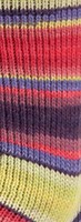 Lana Grossa Landlust Die Sockenwolle 127 Colored stripes-3