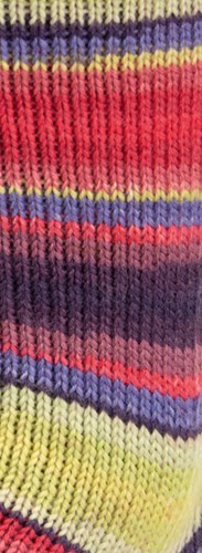 Lana Grossa Landlust Die Sockenwolle 127 Colored stripes-3