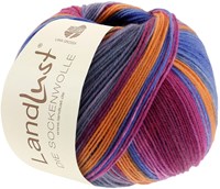 Lana Grossa Landlust Die Sockenwolle 128 Colored stripes