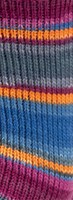 Lana Grossa Landlust Die Sockenwolle 128 Colored stripes-3