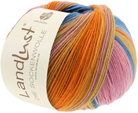 Lana Grossa Landlust Die Sockenwolle 129 Colored stripes