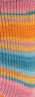 Lana Grossa Landlust Die Sockenwolle 129 Colored stripes-3