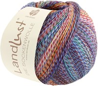 Lana Grossa Landlust Die Sockenwolle 213 Purple/yellow/pink/turquoise/green/red/dark blue mottled