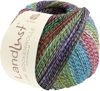 Lana Grossa Landlust Die Sockenwolle 216 Turquoise/lime green/violet/grey brown/rosewood/opal green/heather/kiwi/petrol/fir/midnight blue mottled