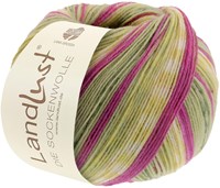 Lana Grossa Landlust Die Sockenwolle 421 Lilac/light yellow/Cream/light gray/light beige/grey green