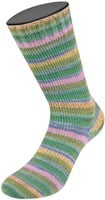 Lana Grossa Landlust Die Sockenwolle 423 Turquoise/yellow/jade/yellow green/lilac/silver gray/khaki/peach-2