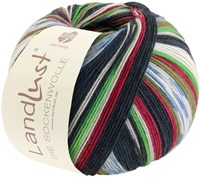 Lana Grossa Landlust Die Sockenwolle 714 Bordeaux/light gray/green/dark petrol/blue/olive Striped / with jacquard