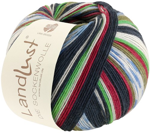 Lana Grossa Landlust Die Sockenwolle 714 Bordeaux/light gray/green/dark petrol/blue/olive Striped / with jacquard