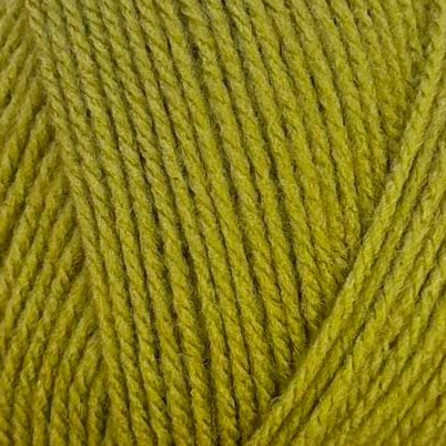 Stylecraft Special DK 2180 Mistletoe-2