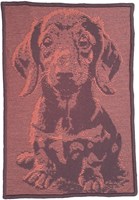 Mr Wiggles Crochetkit - with Digital Pattern