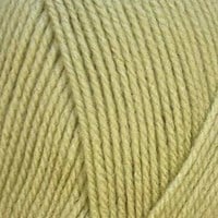 Stylecraft Special DK 2173 Mushy Peas-2