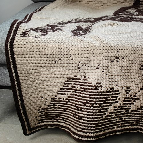 Free Spirit Blanket Yarn Kit - No Pattern-3