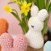 Easter Bunny Yarn Kit-3