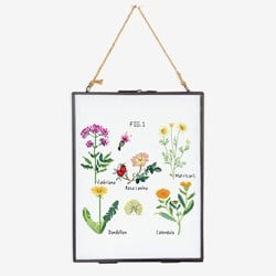 Embroidery Pattern Botanical Medicinal Plants