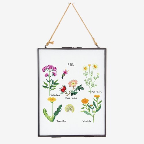 Embroidery Pattern Botanical Medicinal Plants