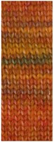 Lana Grossa Picasso 011 Rust/Ochre/Brown/Khaki/Copper Red-2