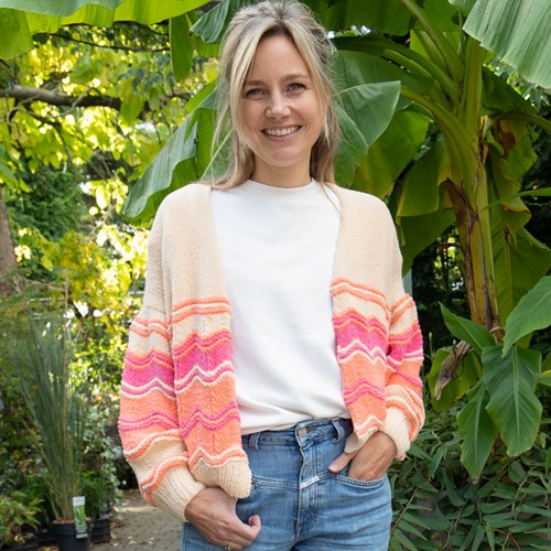 Felt-it Chevron vest breipakket 045