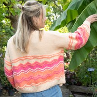 Felt-it Chevron vest breipakket 045