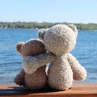 /t/e/teddy_2_2.jpg