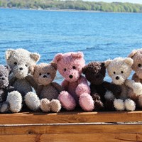 /t/e/teddy_3.jpg
