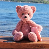 /t/e/teddy_4.jpg