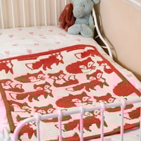 OutFoxed Baby Blanket Yarn and Crochet Kit