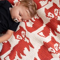 OutFoxed Baby Blanket Yarn and Crochet Kit-2