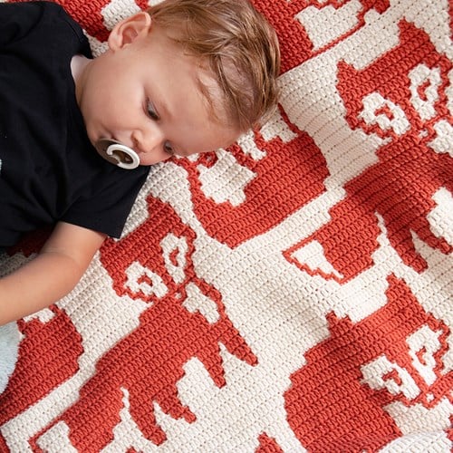 OutFoxed Baby Blanket Yarn and Crochet Kit-2