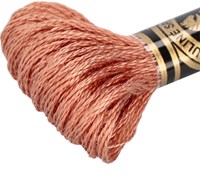 DMC 117MC Mouliné Spécial Embroidery Thread 8m 3064-2