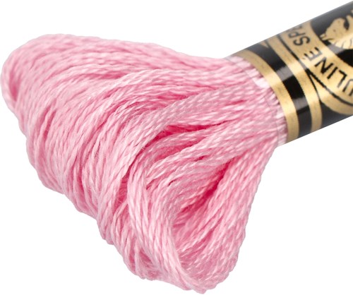 DMC 117MC Mouliné Spécial Embroidery Thread 8m 3689-2