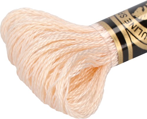 DMC 117MC Mouliné Spécial Embroidery Thread 8m 3770-2