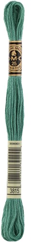 DMC 117MC Mouliné Spécial Embroidery Thread 8m 3815