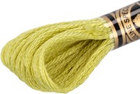 DMC 117MC Mouliné Spécial Embroidery Thread 8m 3819-2